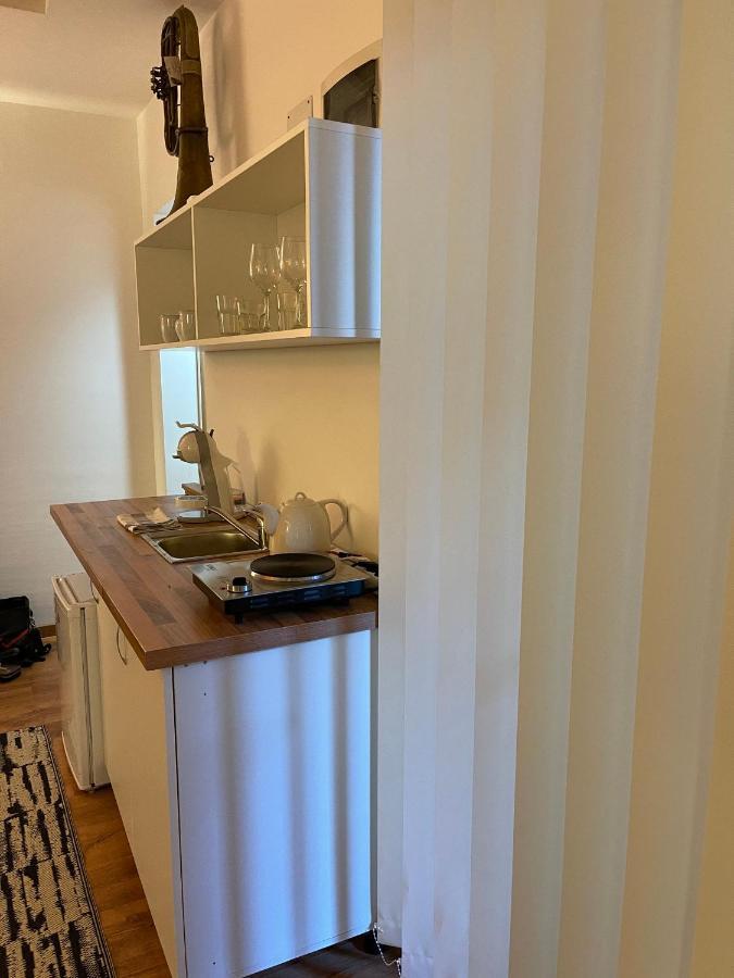 Apartament Savoya4 Old Center Self Checkin Workspacestudio Timişoara